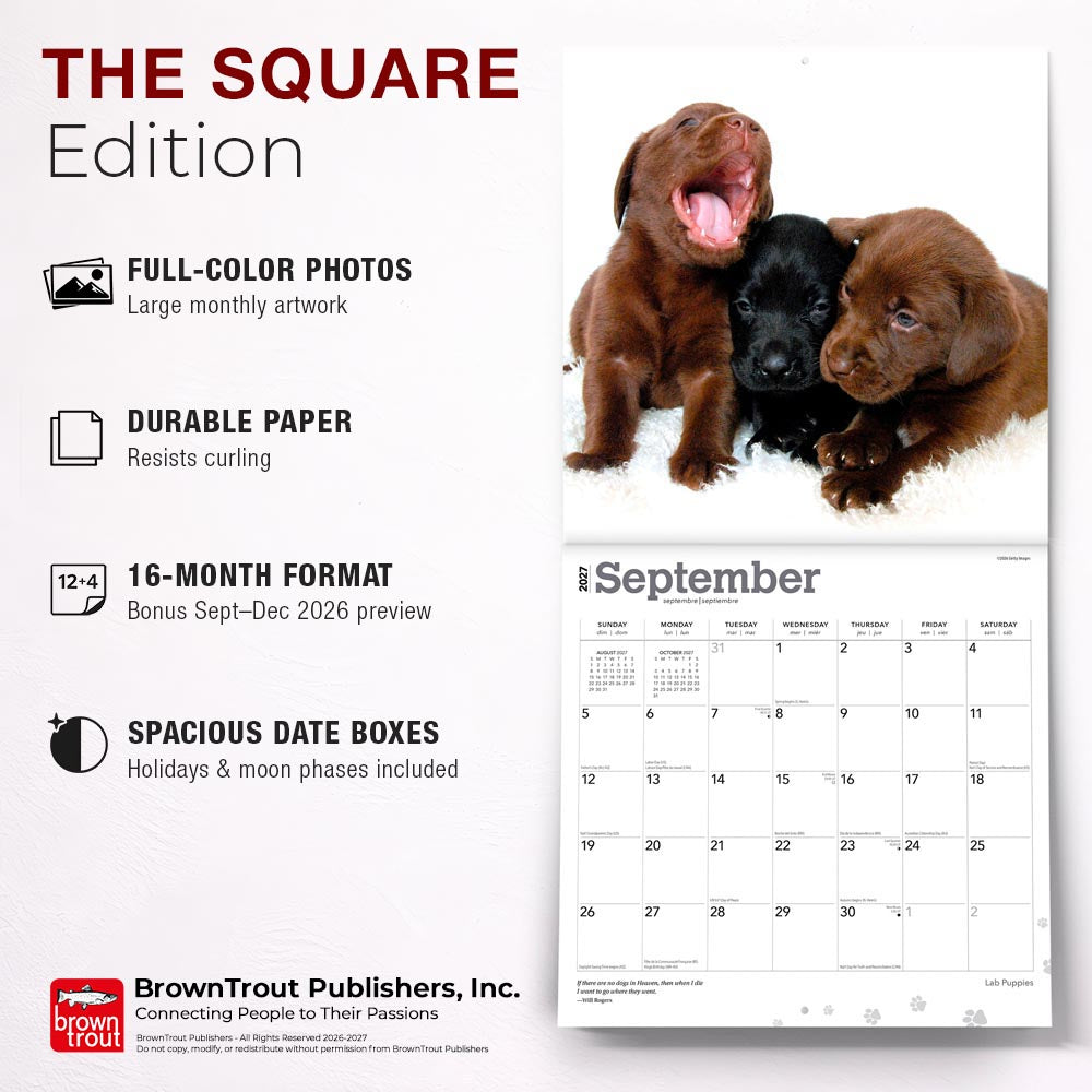 Labrador Retriever Puppies | 2027 12 x 24 Inch (Hanging) Monthly Square Wall Calendar