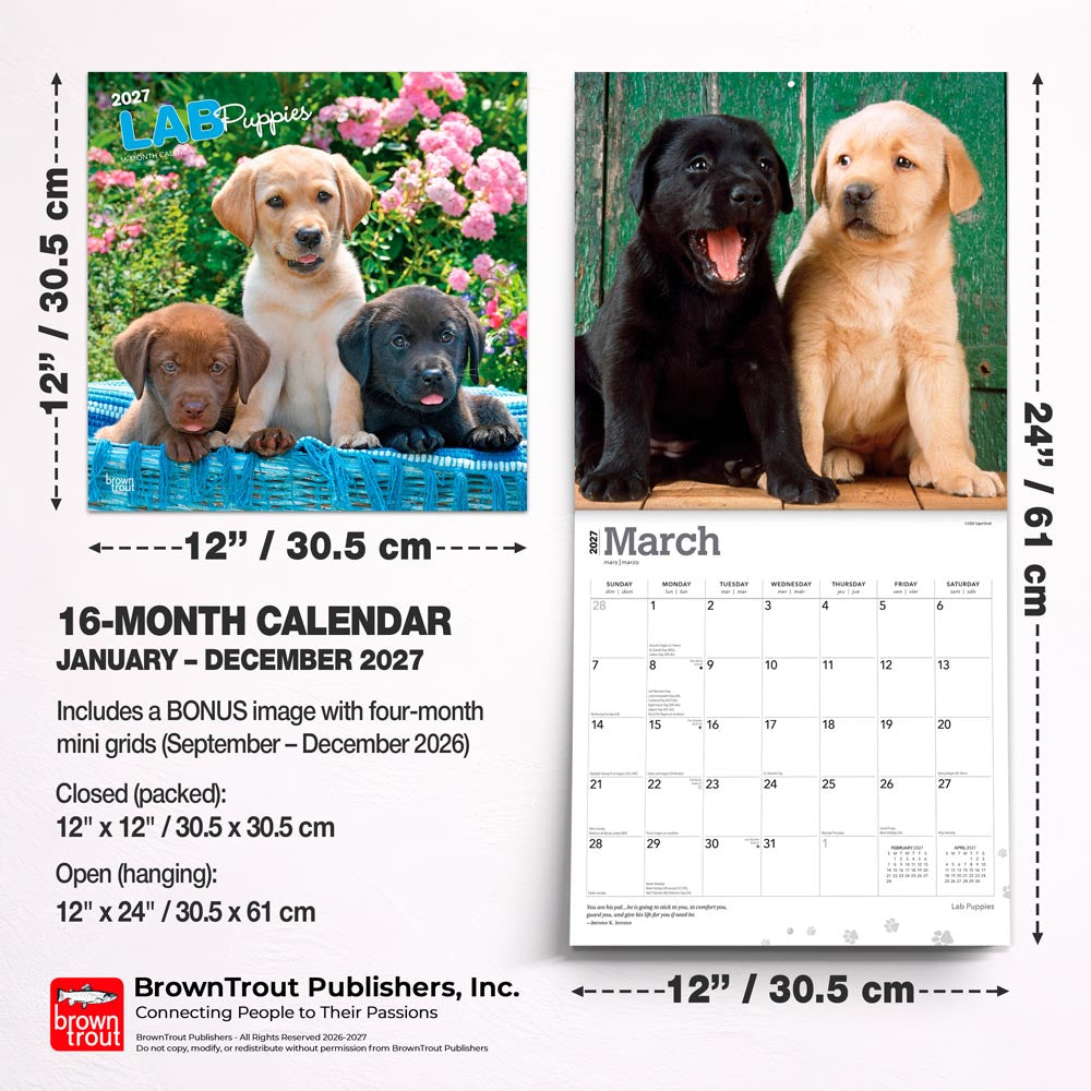 Labrador Retriever Puppies | 2027 12 x 24 Inch (Hanging) Monthly Square Wall Calendar