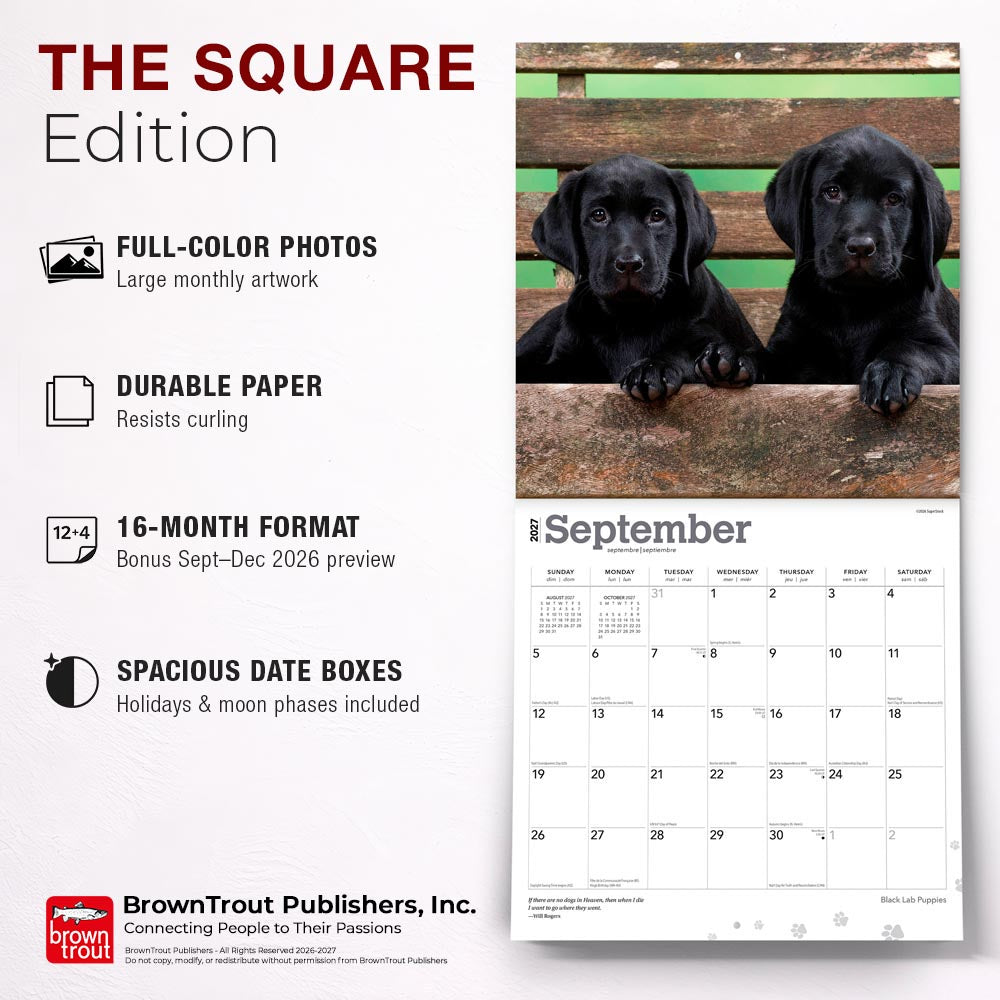 Black Labrador Retriever Puppies | 2027 12 x 24 Inch (Hanging) Monthly Square Wall Calendar