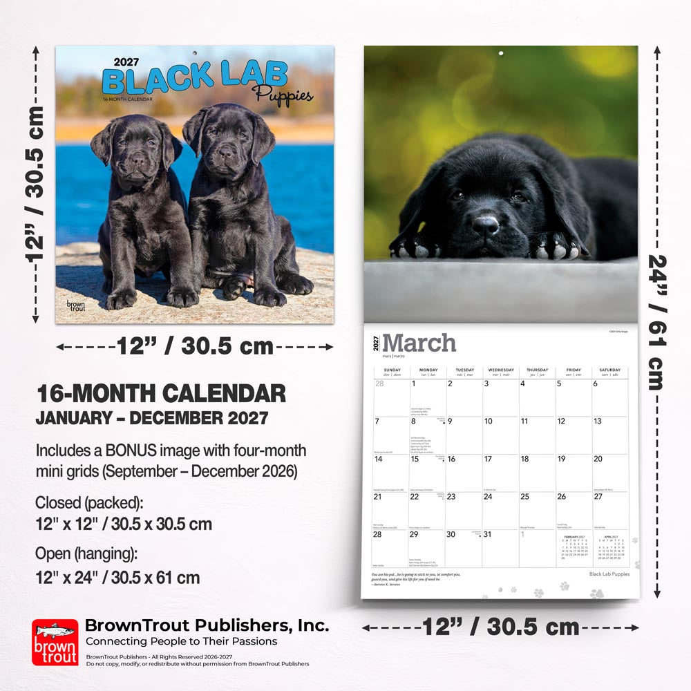 Black Labrador Retriever Puppies | 2027 12 x 24 Inch (Hanging) Monthly Square Wall Calendar