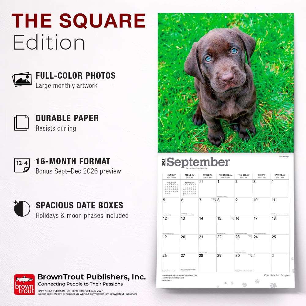 Chocolate Labrador Retriever Puppies | 2027 12 x 24 Inch (Hanging) Monthly Square Wall Calendar