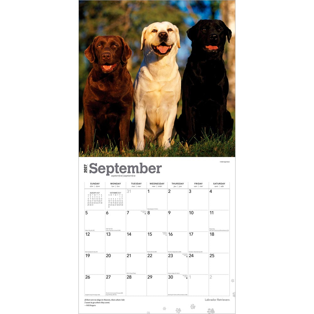 Labrador Retrievers | 2027 12 x 24 Inch (Hanging) Monthly Square Wall Calendar