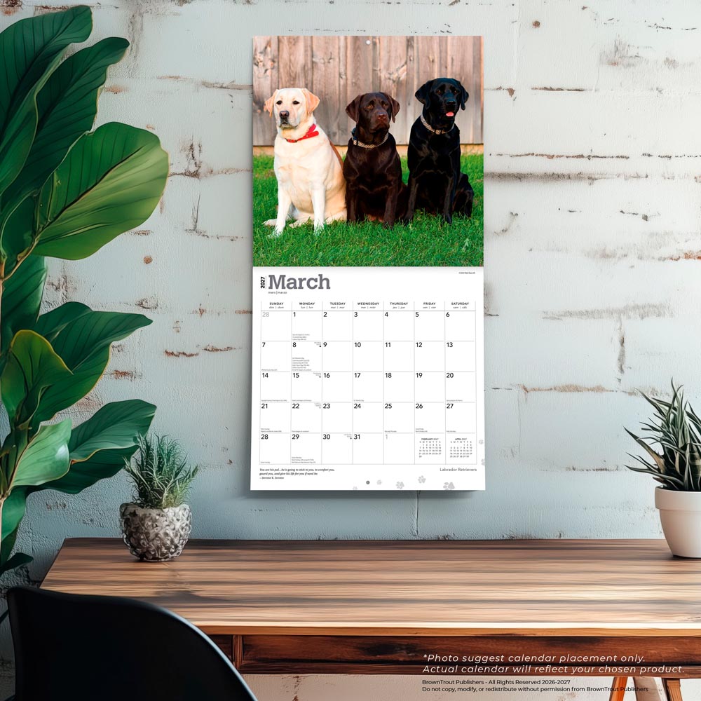 Labrador Retrievers | 2027 12 x 24 Inch (Hanging) Monthly Square Wall Calendar