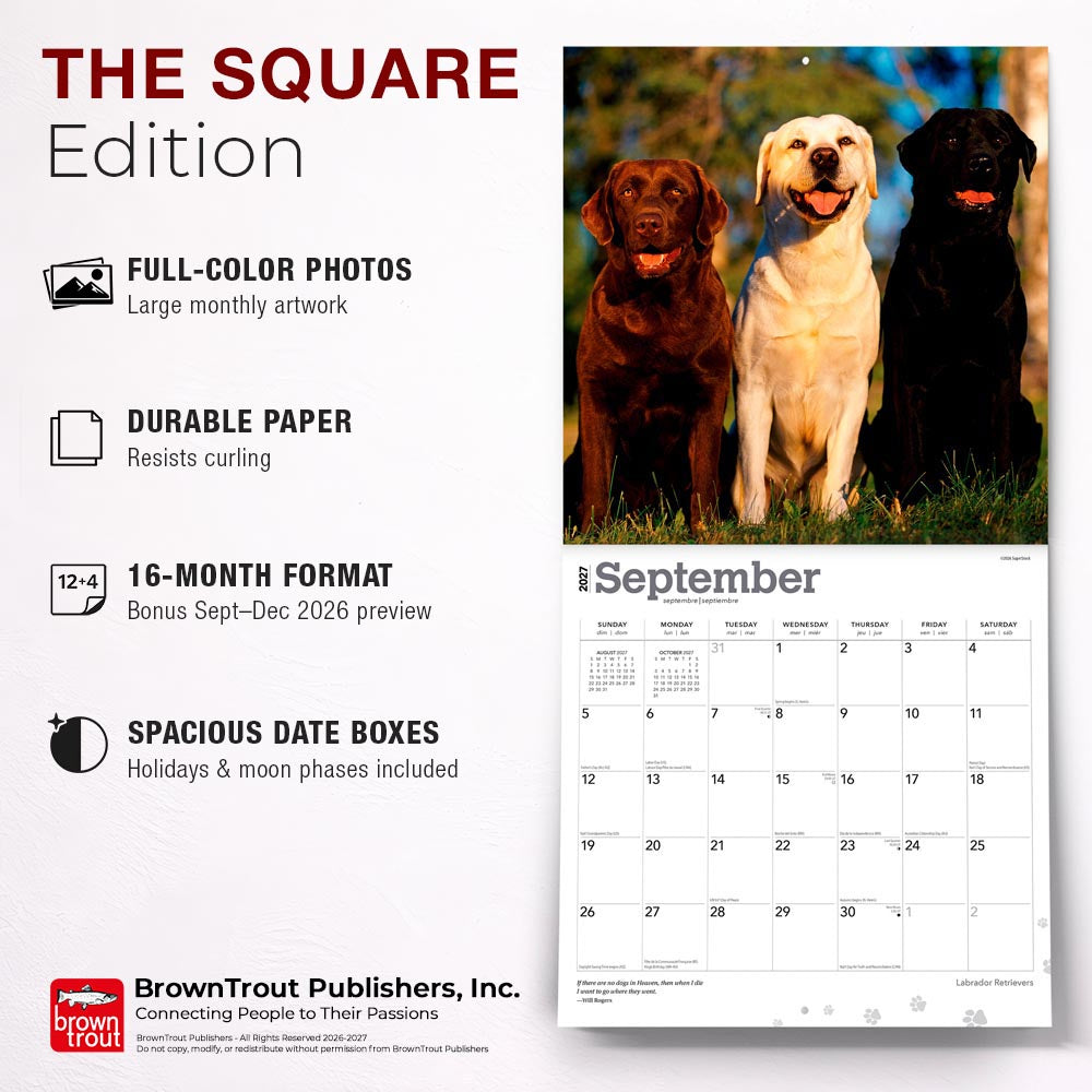 Labrador Retrievers | 2027 12 x 24 Inch (Hanging) Monthly Square Wall Calendar