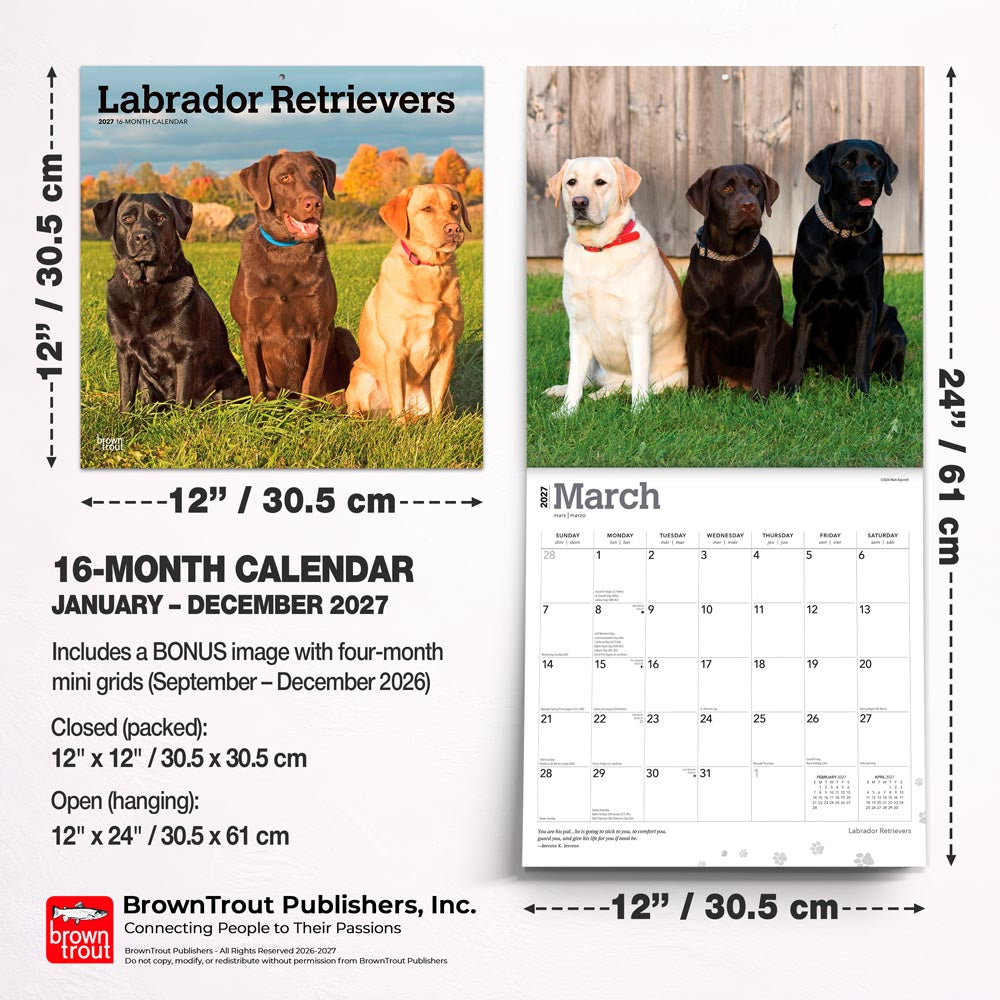 Labrador Retrievers | 2027 12 x 24 Inch (Hanging) Monthly Square Wall Calendar