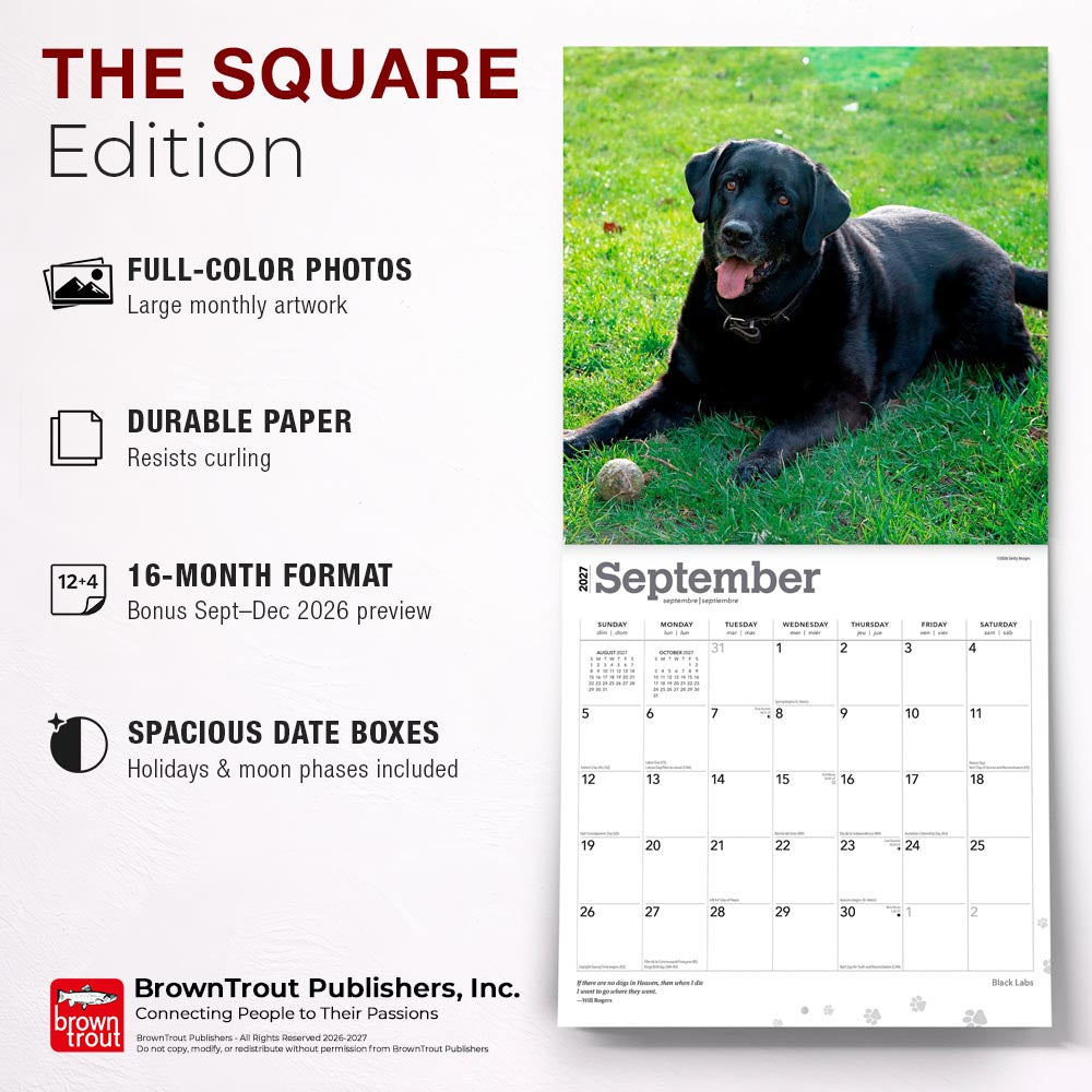 Black Labrador Retrievers | 2027 12 x 24 Inch (Hanging) Monthly Square Wall Calendar