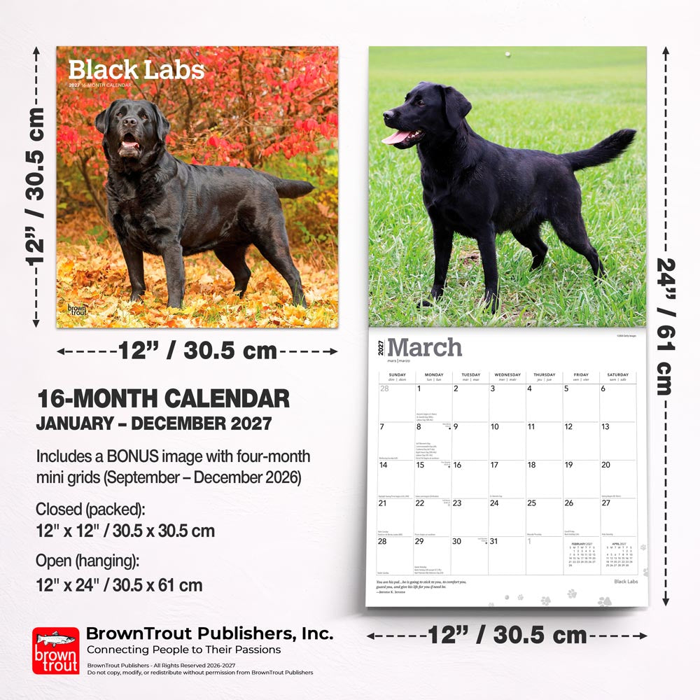 Black Labrador Retrievers | 2027 12 x 24 Inch (Hanging) Monthly Square Wall Calendar
