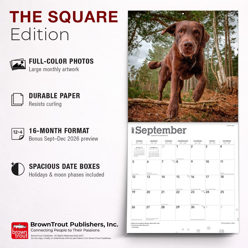 Chocolate Labrador Retrievers | 2027 12 x 24 Inch (Hanging) Monthly Square Wall Calendar