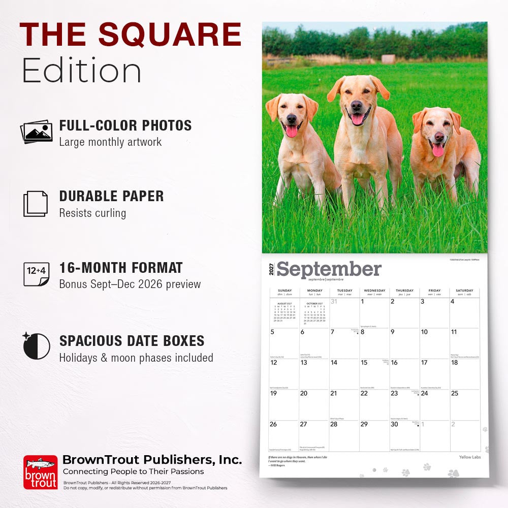 Yellow Labrador Retrievers | 2027 12 x 24 Inch (Hanging) Monthly Square Wall Calendar
