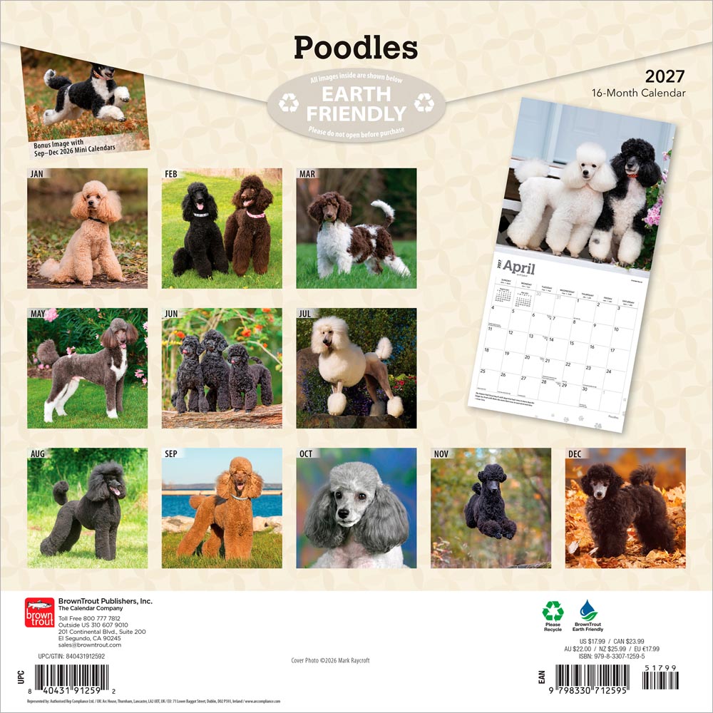 Poodles | 2027 12 x 24 Inch (Hanging) Monthly Square Wall Calendar
