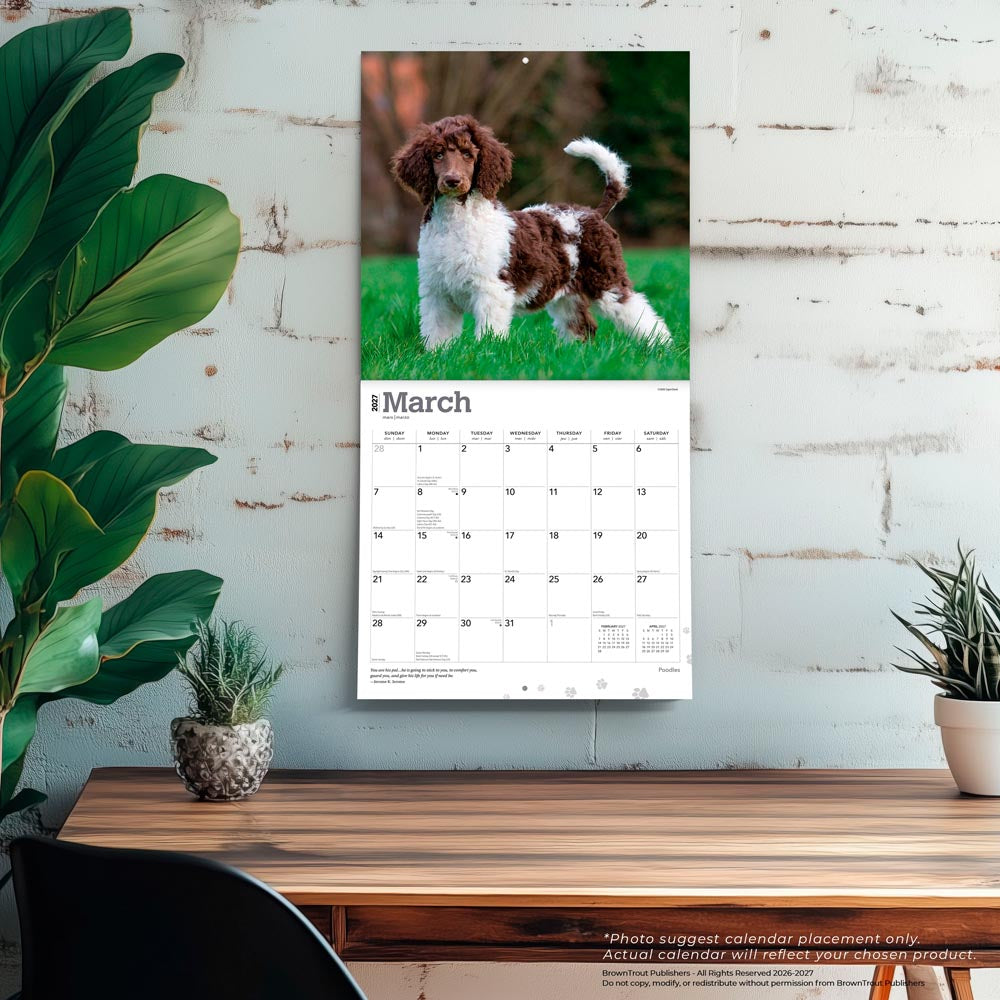 Poodles | 2027 12 x 24 Inch (Hanging) Monthly Square Wall Calendar