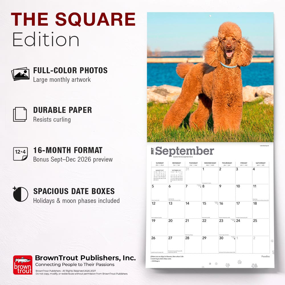 Poodles | 2027 12 x 24 Inch (Hanging) Monthly Square Wall Calendar
