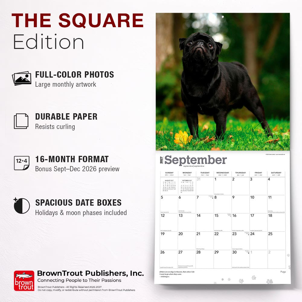 Pugs | 2027 12 x 24 Inch (Hanging) Monthly Square Wall Calendar