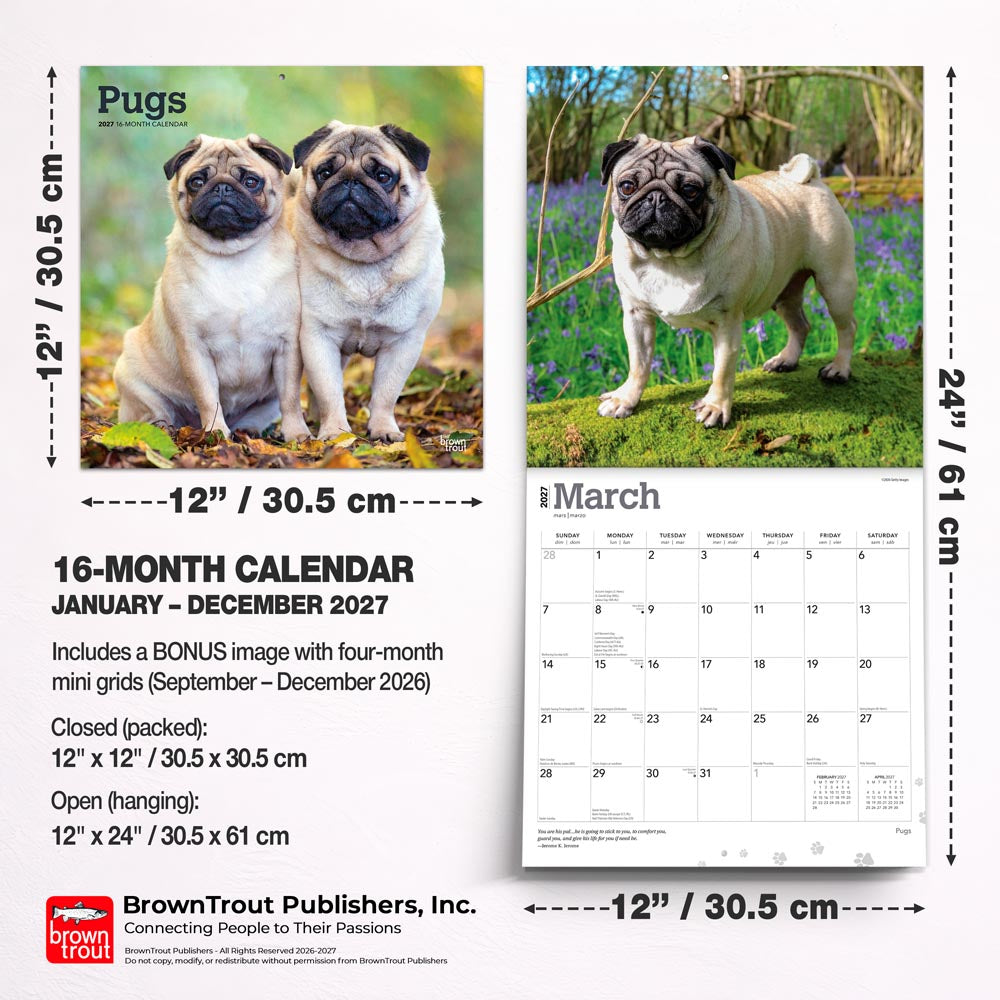 Pugs | 2027 12 x 24 Inch (Hanging) Monthly Square Wall Calendar