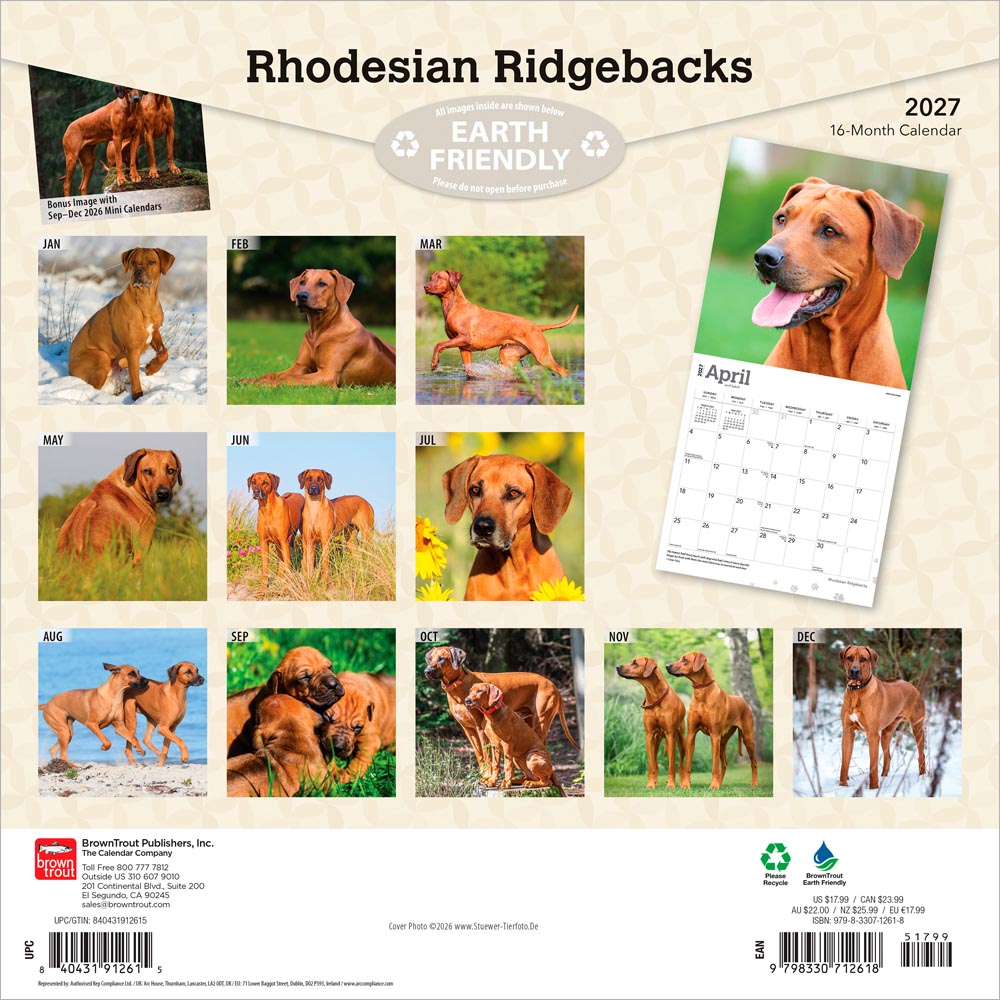 Rhodesian Ridgebacks | 2027 12 x 24 Inch (Hanging) Monthly Square Wall Calendar