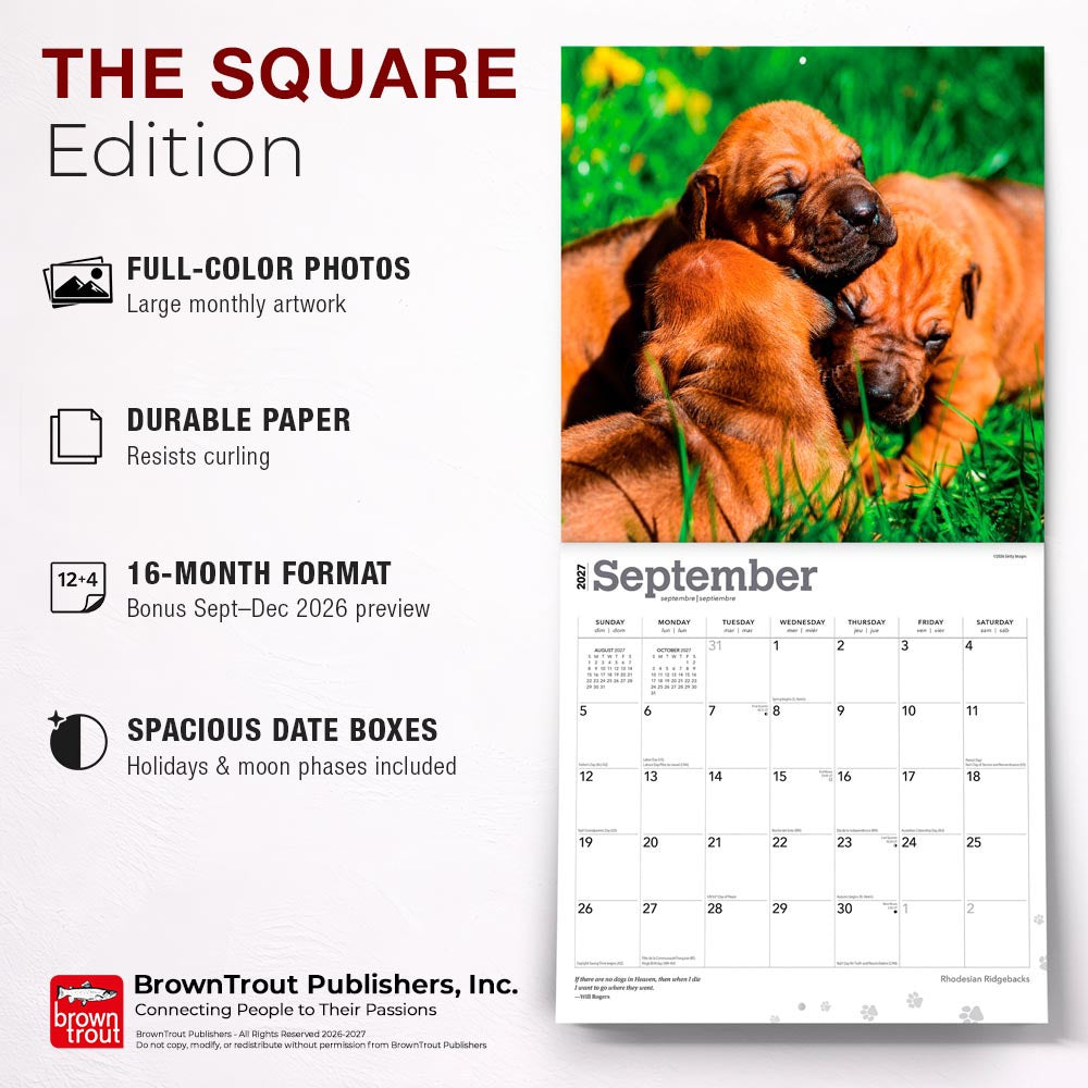 Rhodesian Ridgebacks | 2027 12 x 24 Inch (Hanging) Monthly Square Wall Calendar