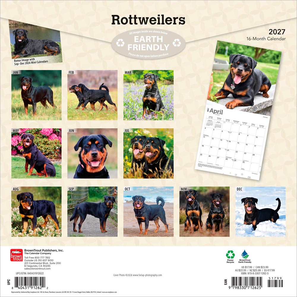 Rottweilers | 2027 12 x 24 Inch (Hanging) Monthly Square Wall Calendar