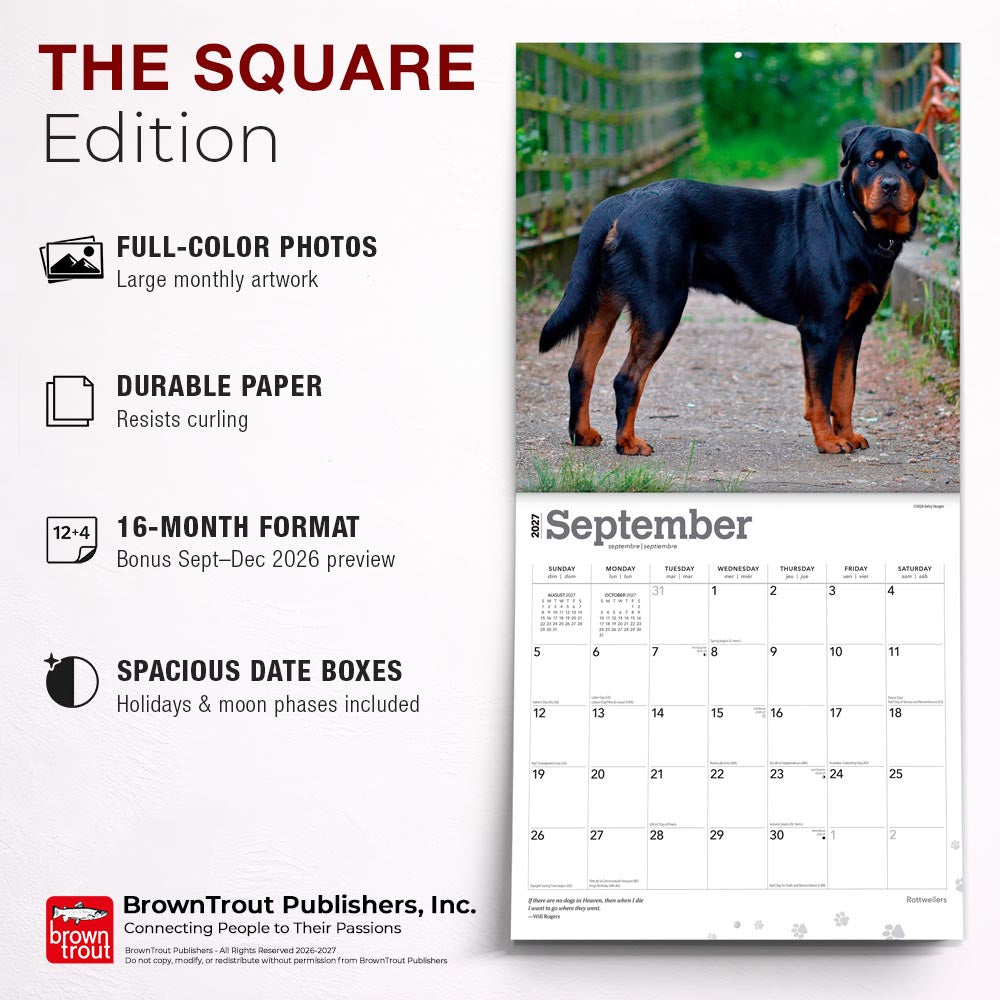 Rottweilers | 2027 12 x 24 Inch (Hanging) Monthly Square Wall Calendar
