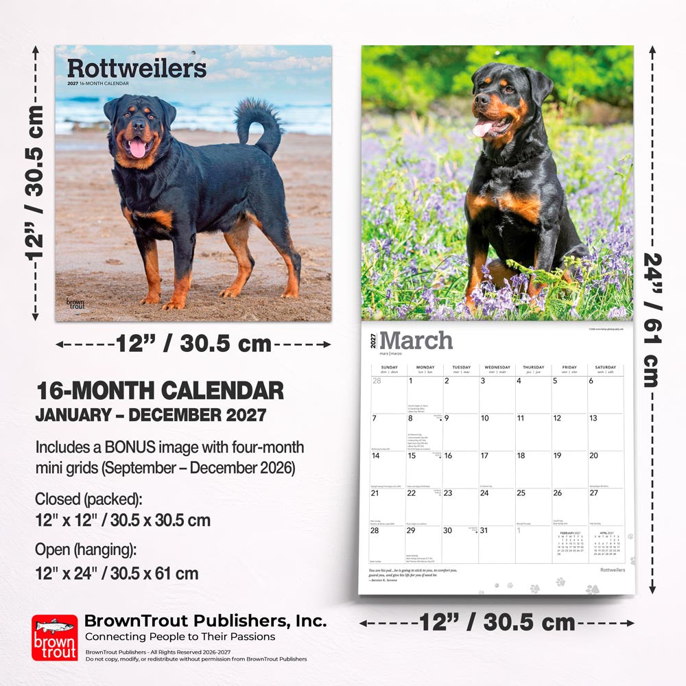 Rottweilers | 2027 12 x 24 Inch (Hanging) Monthly Square Wall Calendar