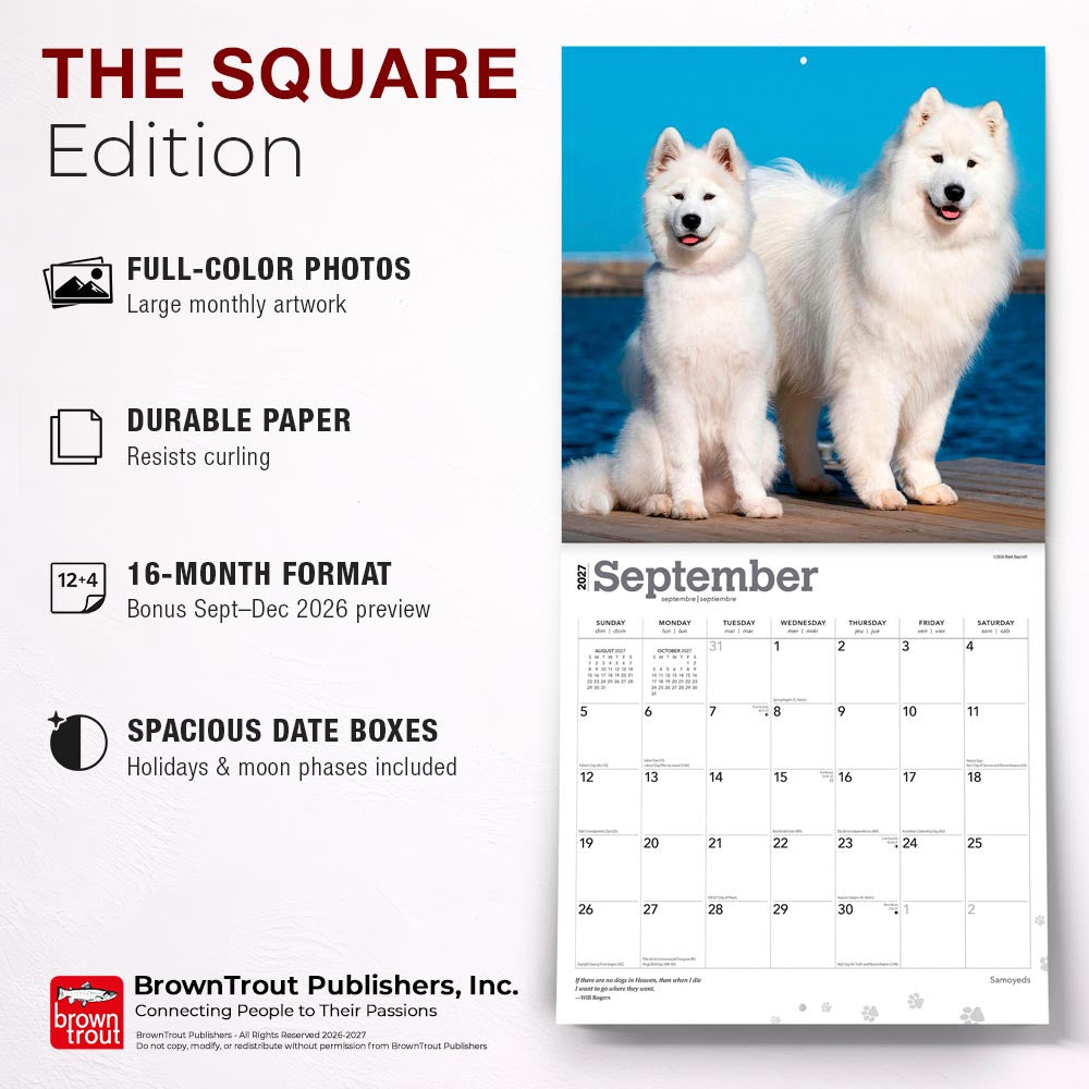 Samoyeds | 2027 12 x 24 Inch (Hanging) Monthly Square Wall Calendar