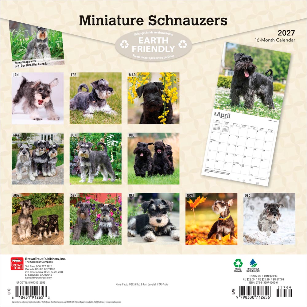 Miniature Schnauzers | 2027 12 x 24 Inch (Hanging) Monthly Square Wall Calendar