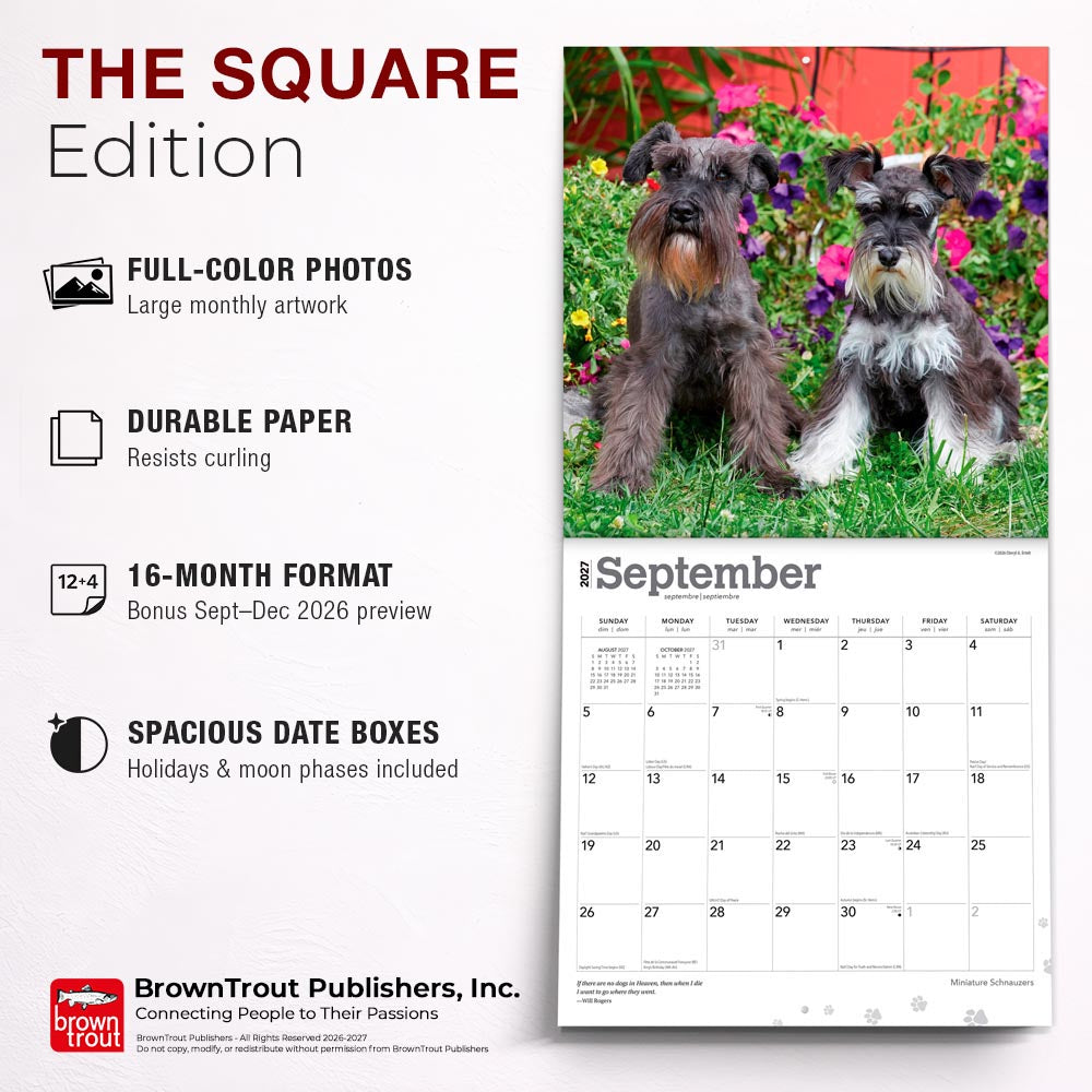 Miniature Schnauzers | 2027 12 x 24 Inch (Hanging) Monthly Square Wall Calendar