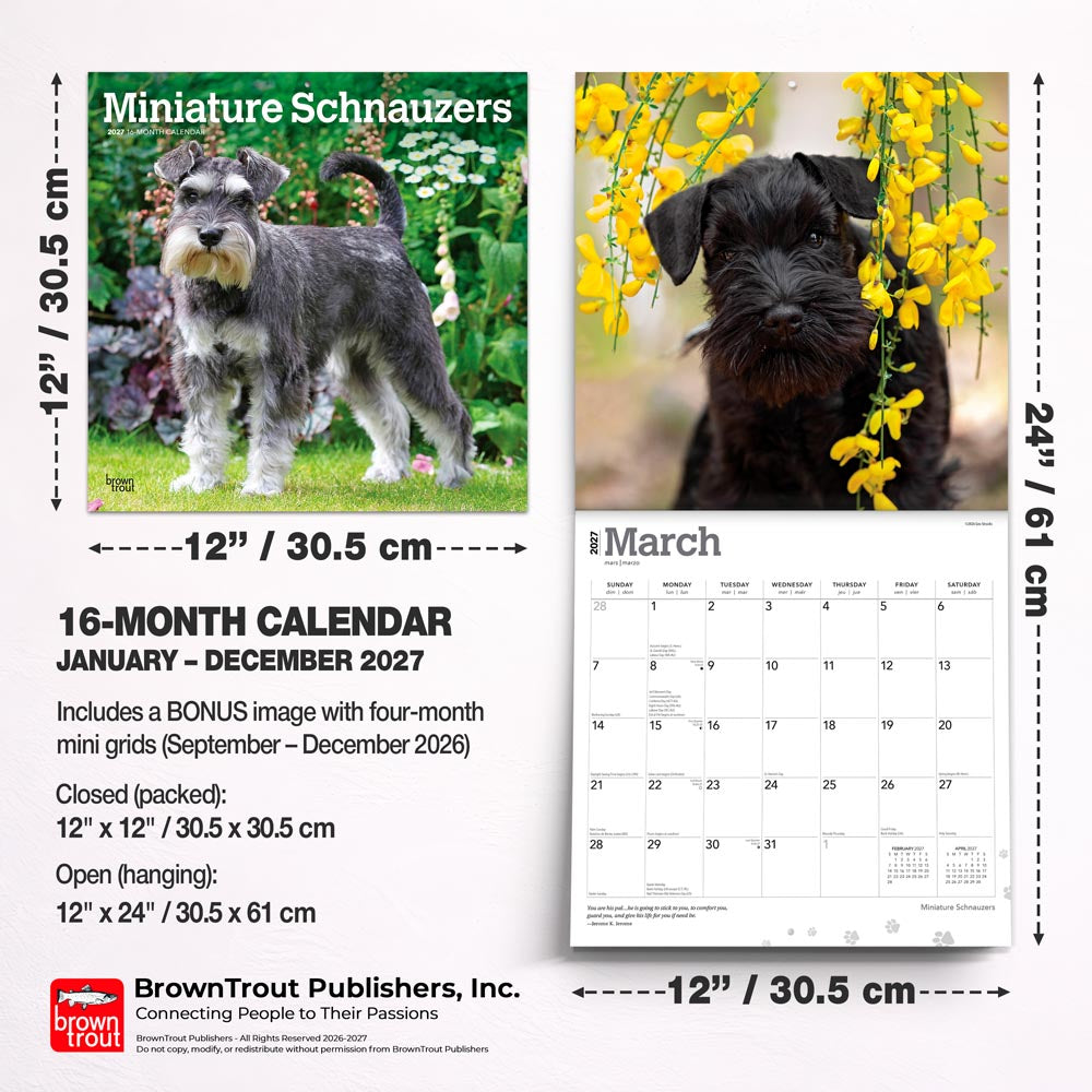 Miniature Schnauzers | 2027 12 x 24 Inch (Hanging) Monthly Square Wall Calendar