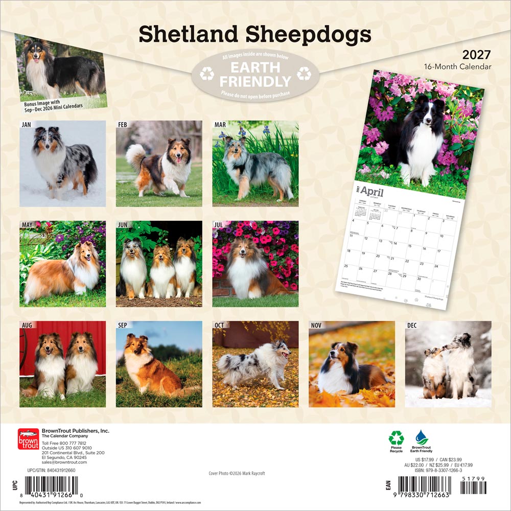 Shetland Sheepdogs | 2027 12 x 24 Inch (Hanging) Monthly Square Wall Calendar
