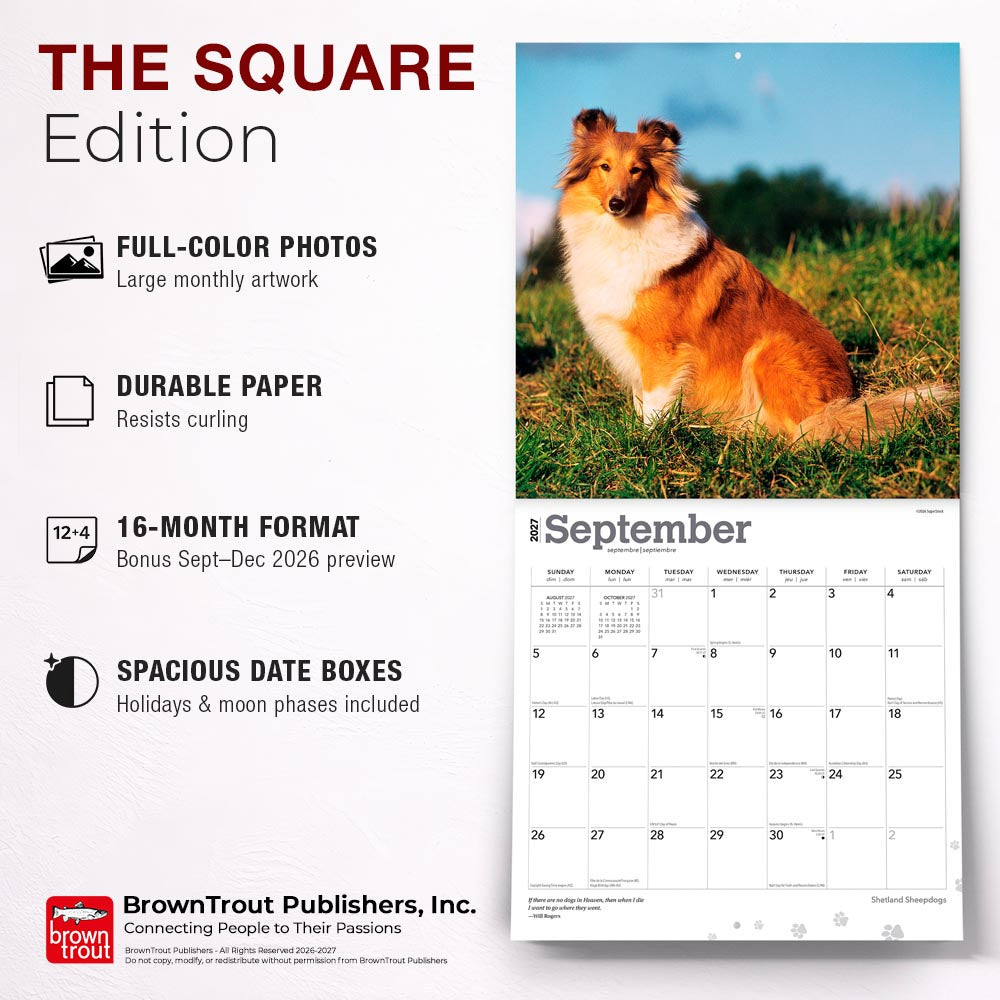 Shetland Sheepdogs | 2027 12 x 24 Inch (Hanging) Monthly Square Wall Calendar