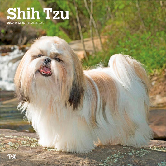 Shih Tzu | 2027 12 x 24 Inch (Hanging) Monthly Square Wall Calendar