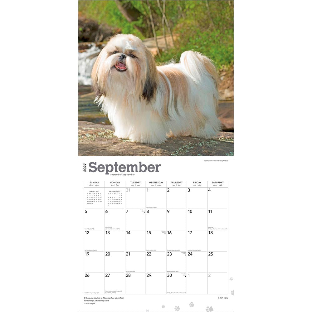 Shih Tzu | 2027 12 x 24 Inch (Hanging) Monthly Square Wall Calendar