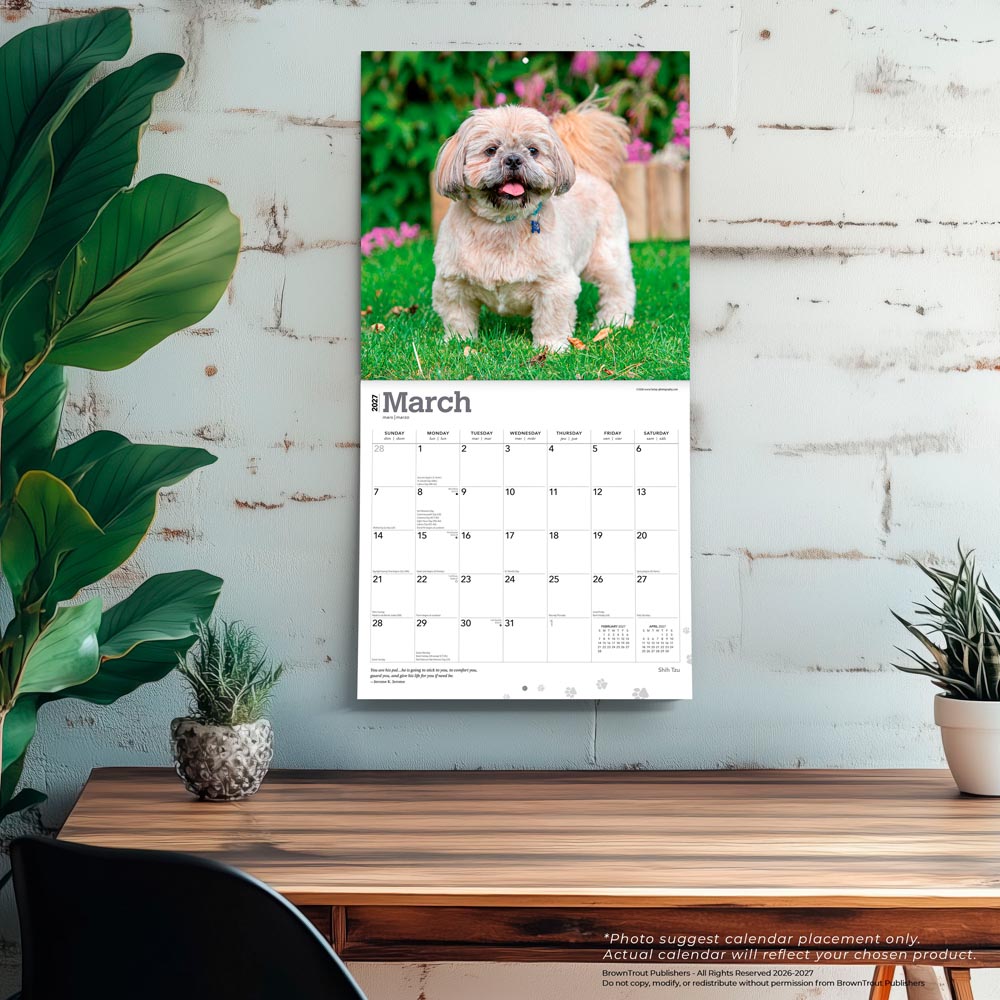 Shih Tzu | 2027 12 x 24 Inch (Hanging) Monthly Square Wall Calendar