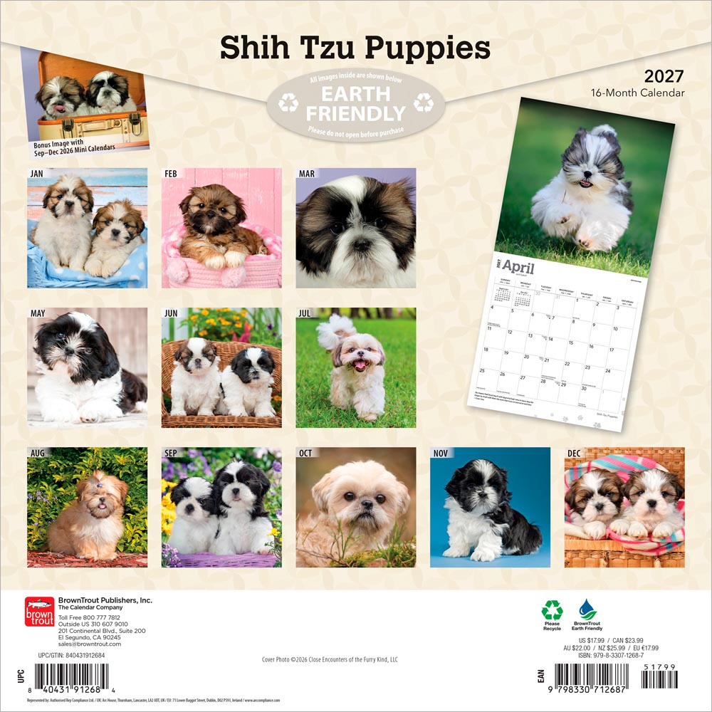 Shih Tzu Puppies | 2027 12 x 24 Inch (Hanging) Monthly Square Wall Calendar