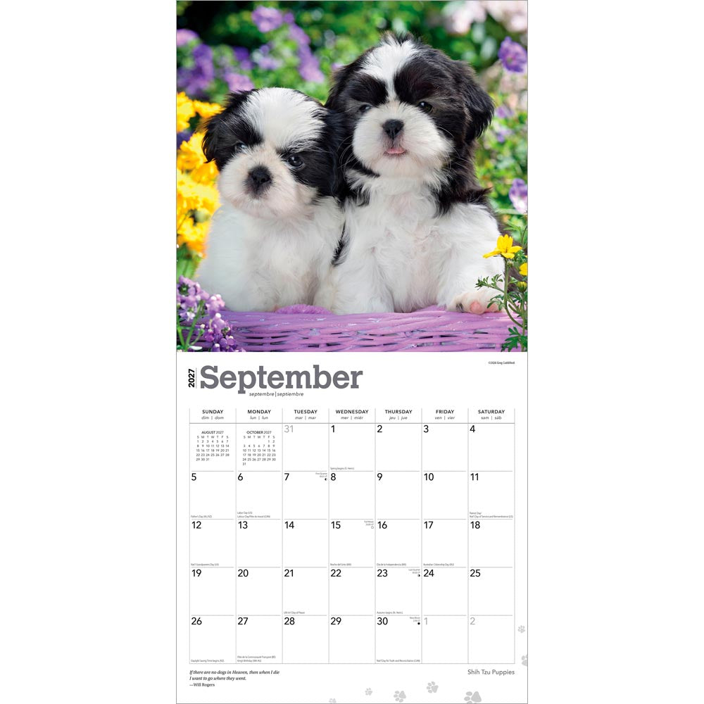 Shih Tzu Puppies | 2027 12 x 24 Inch (Hanging) Monthly Square Wall Calendar