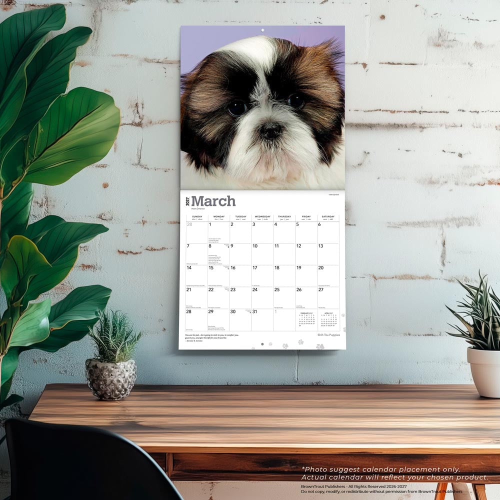 Shih Tzu Puppies | 2027 12 x 24 Inch (Hanging) Monthly Square Wall Calendar
