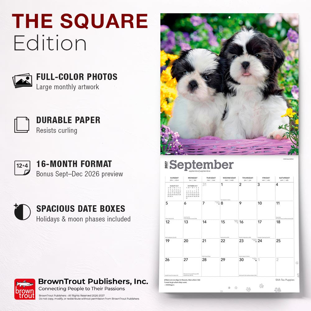 Shih Tzu Puppies | 2027 12 x 24 Inch (Hanging) Monthly Square Wall Calendar