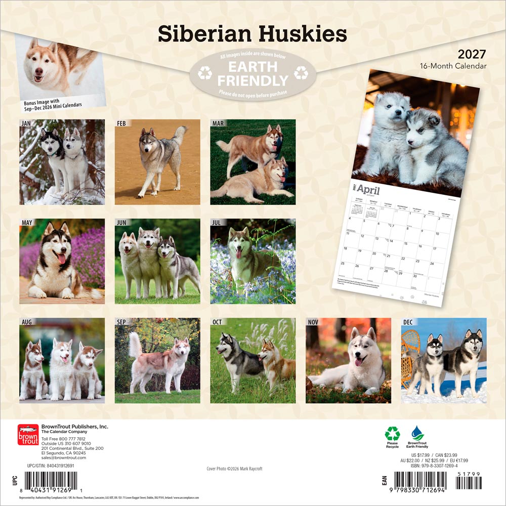 Siberian Huskies | 2027 12 x 24 Inch (Hanging) Monthly Square Wall Calendar