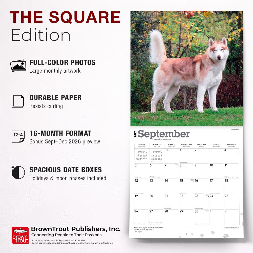 Siberian Huskies | 2027 12 x 24 Inch (Hanging) Monthly Square Wall Calendar