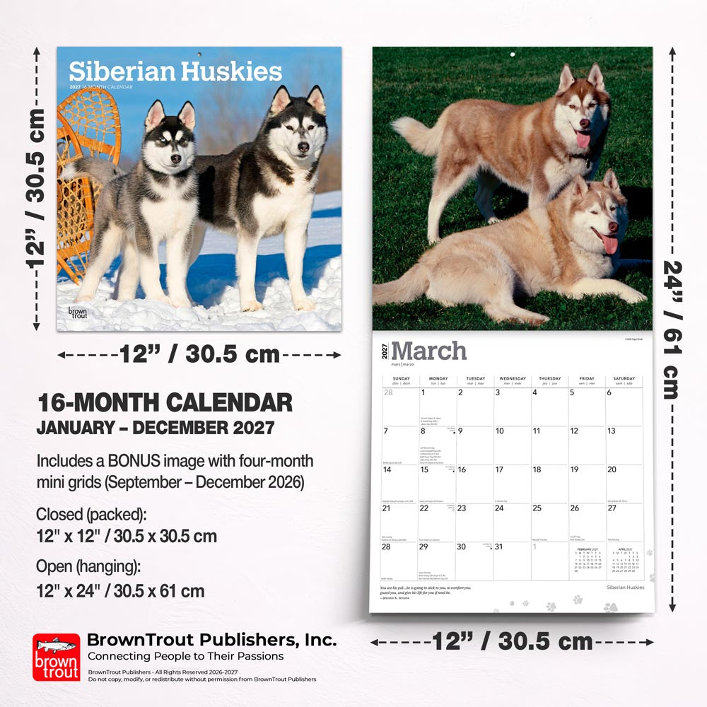 Siberian Huskies | 2027 12 x 24 Inch (Hanging) Monthly Square Wall Calendar
