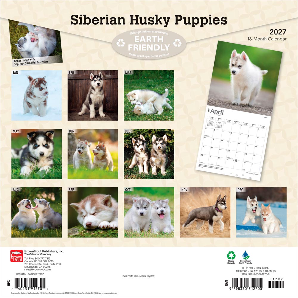 Siberian Husky Puppies | 2027 12 x 24 Inch (Hanging) Monthly Square Wall Calendar