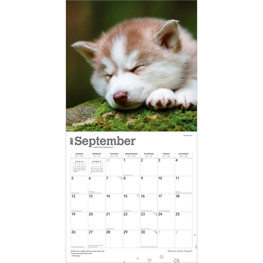 Siberian Husky Puppies | 2027 12 x 24 Inch (Hanging) Monthly Square Wall Calendar