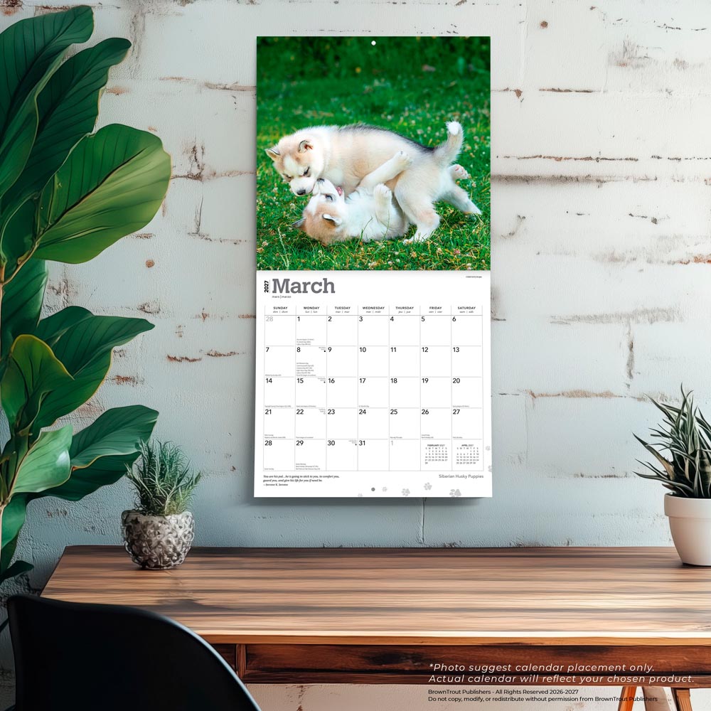Siberian Husky Puppies | 2027 12 x 24 Inch (Hanging) Monthly Square Wall Calendar
