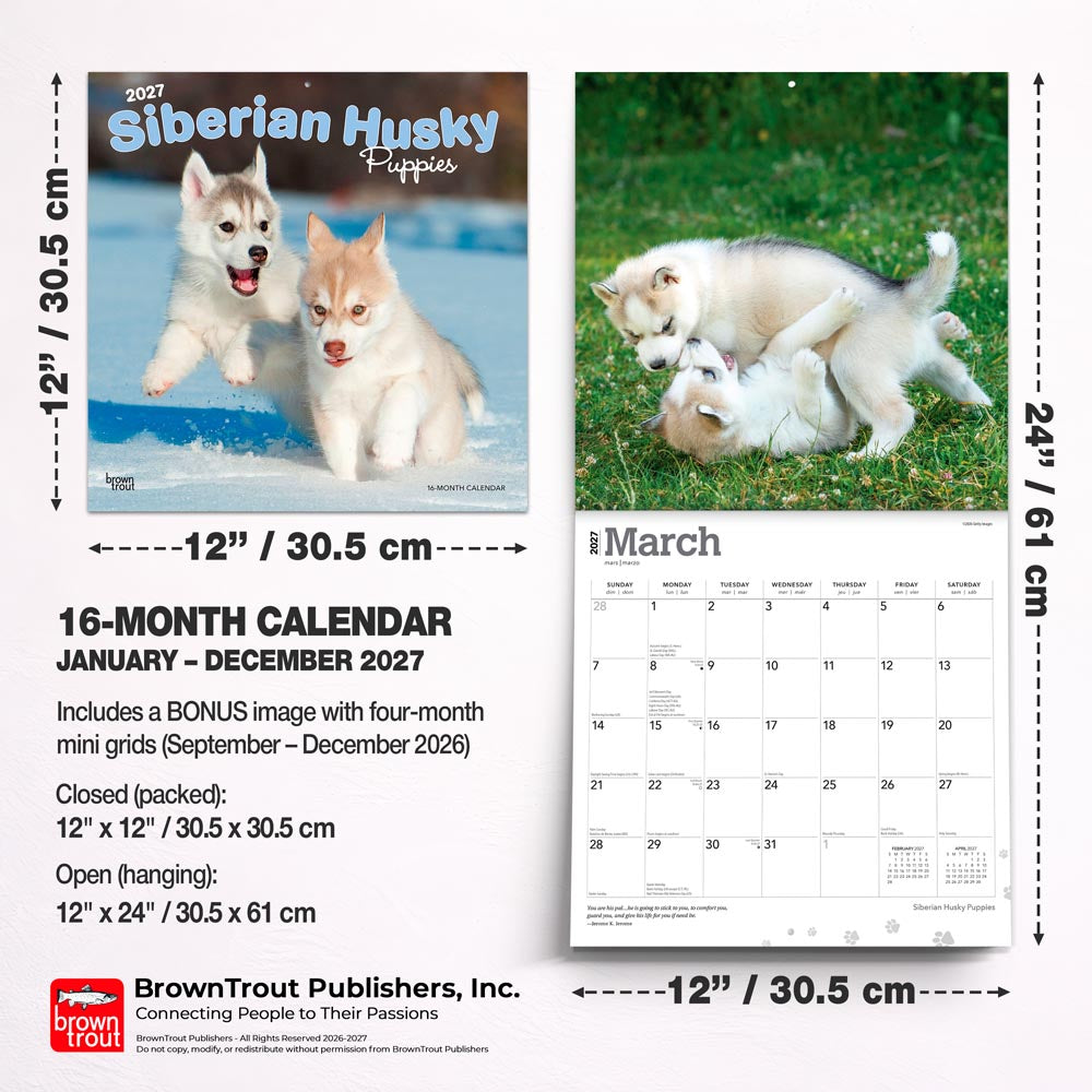 Siberian Husky Puppies | 2027 12 x 24 Inch (Hanging) Monthly Square Wall Calendar