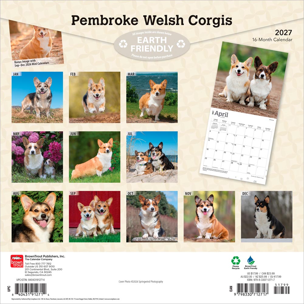 Pembroke Welsh Corgis | 2027 12 x 24 Inch (Hanging) Monthly Square Wall Calendar