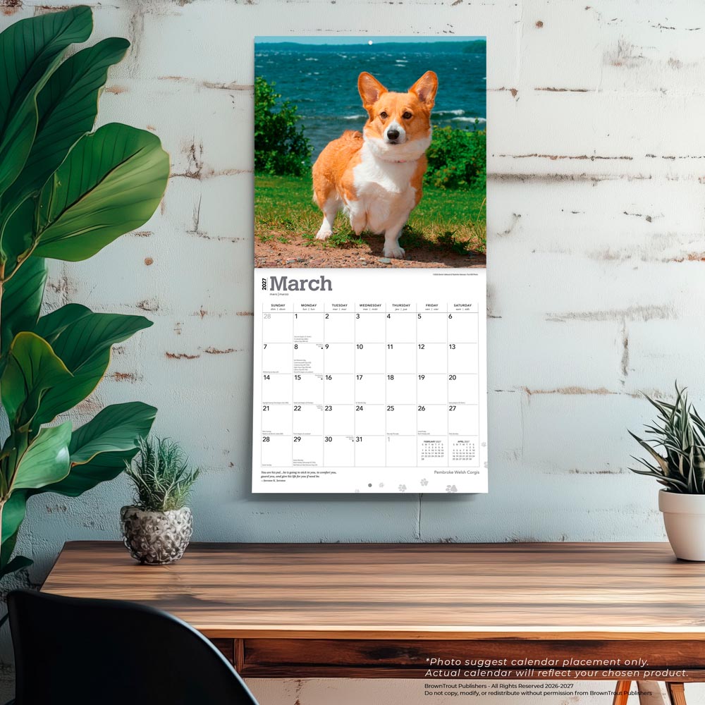Pembroke Welsh Corgis | 2027 12 x 24 Inch (Hanging) Monthly Square Wall Calendar