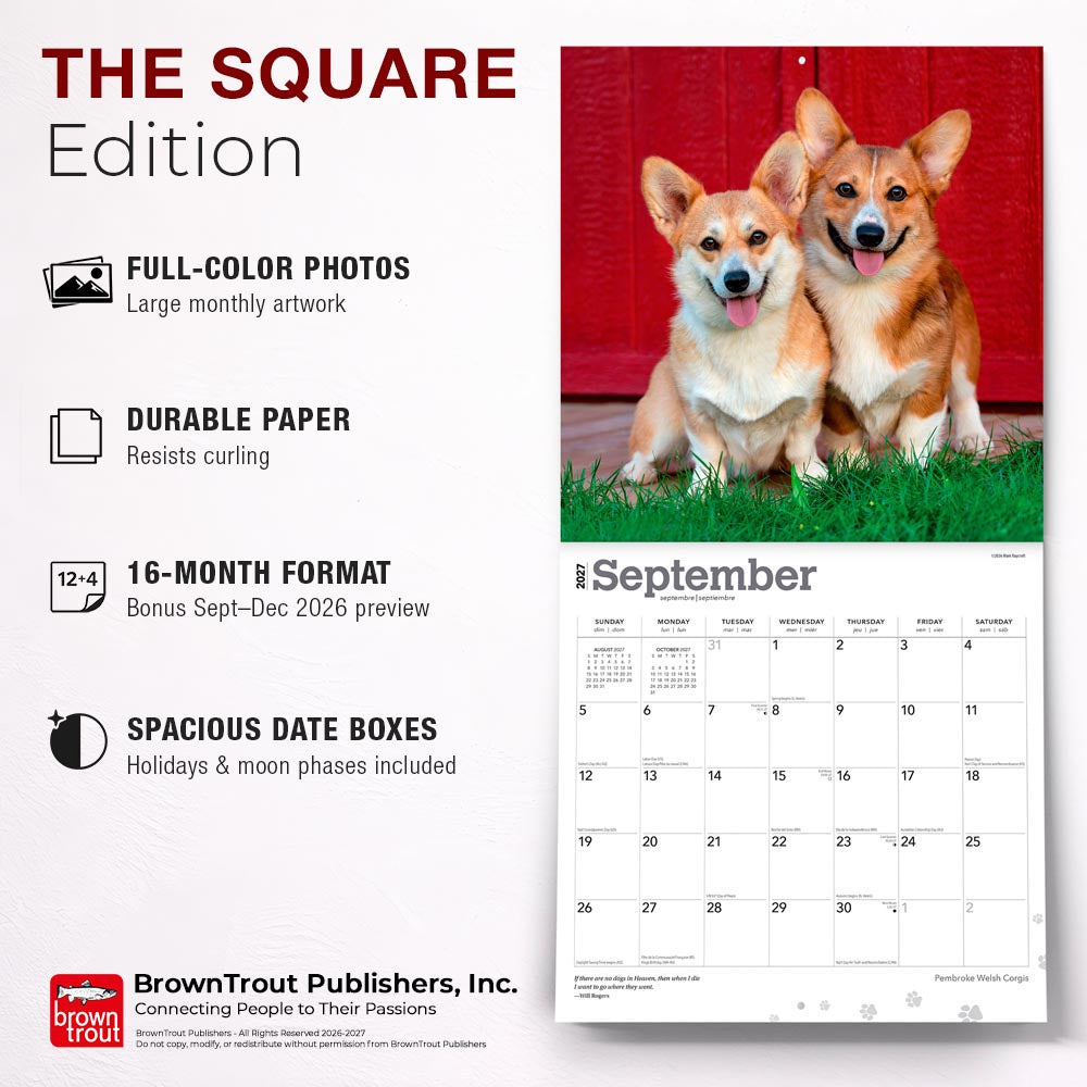Pembroke Welsh Corgis | 2027 12 x 24 Inch (Hanging) Monthly Square Wall Calendar