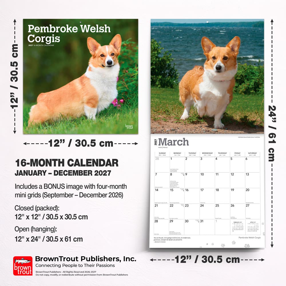 Pembroke Welsh Corgis | 2027 12 x 24 Inch (Hanging) Monthly Square Wall Calendar