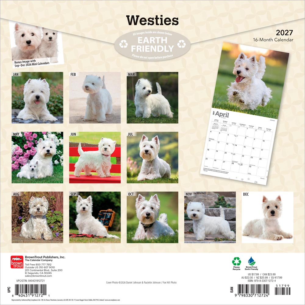 West Highland White Terriers | 2027 12 x 24 Inch (Hanging) Monthly Square Wall Calendar