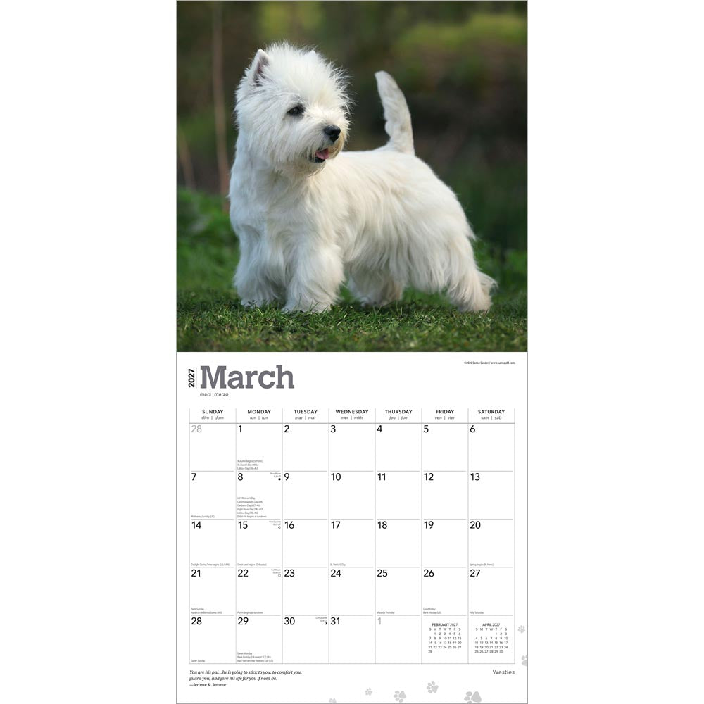West Highland White Terriers | 2027 12 x 24 Inch (Hanging) Monthly Square Wall Calendar