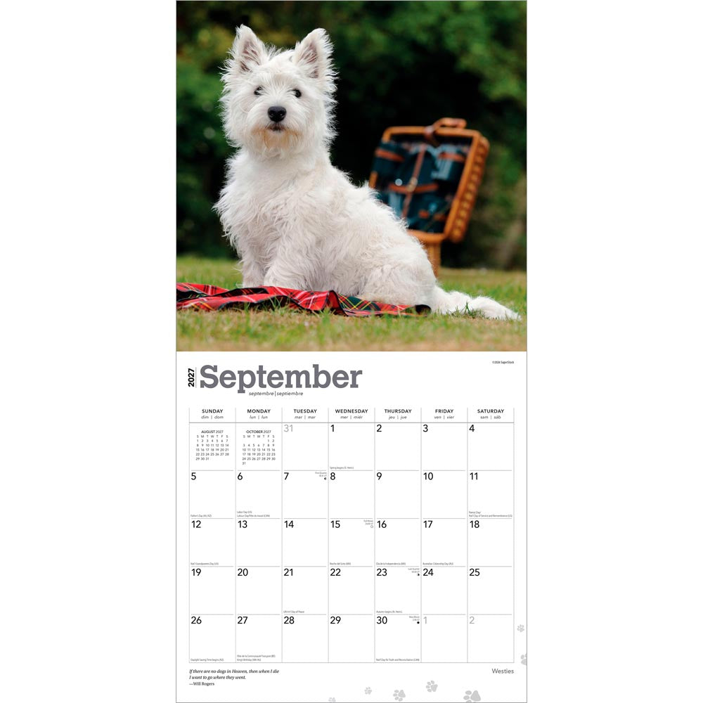 West Highland White Terriers | 2027 12 x 24 Inch (Hanging) Monthly Square Wall Calendar